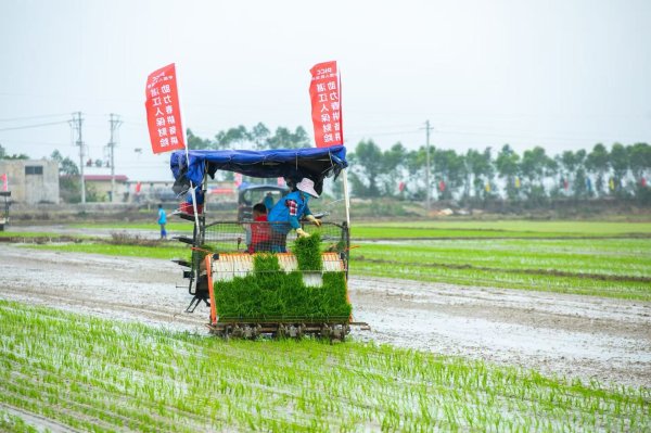 掌盘策略 广东发布岭南特色现代农业调研报告，种业、农机、海洋牧场有了破局方向