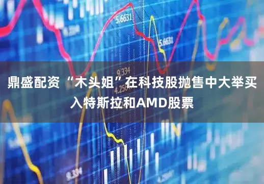 鼎盛配资 “木头姐”在科技股抛售中大举买入特斯拉和AMD股票